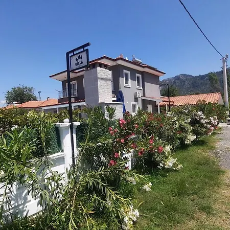 Ema Villa *
